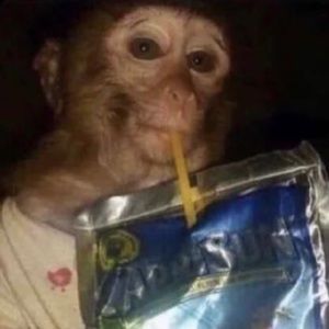 Meet your Posher, Adrian